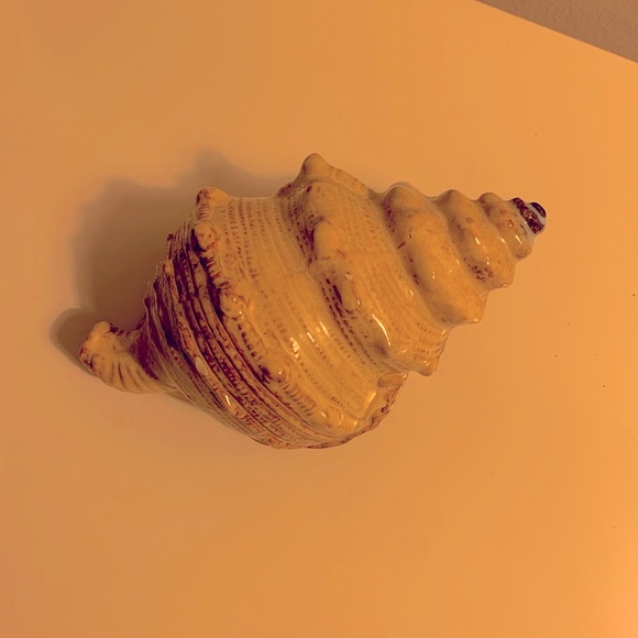 Tie & Tale Beach Theme Seashell Decor Size OS EUC - Picture 4 of 5